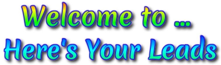this company bring the leads to you
